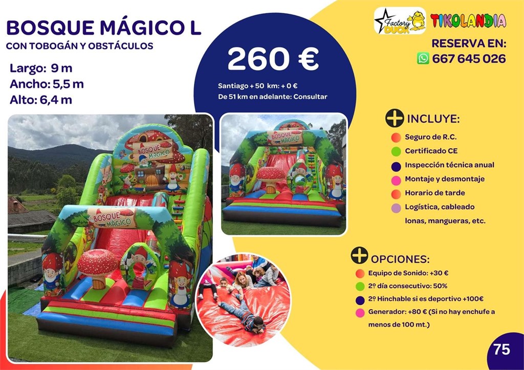 Foto 1 BOSQUE MÁGICO L