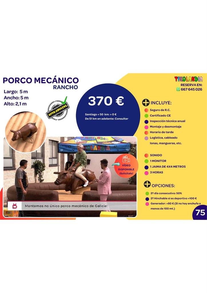 Foto 1 CERDO MECÁNICO 