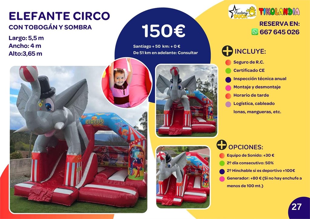 Foto 1 ELEFANTE CIRCO