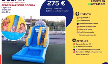 HINCHABLE  DELFIN