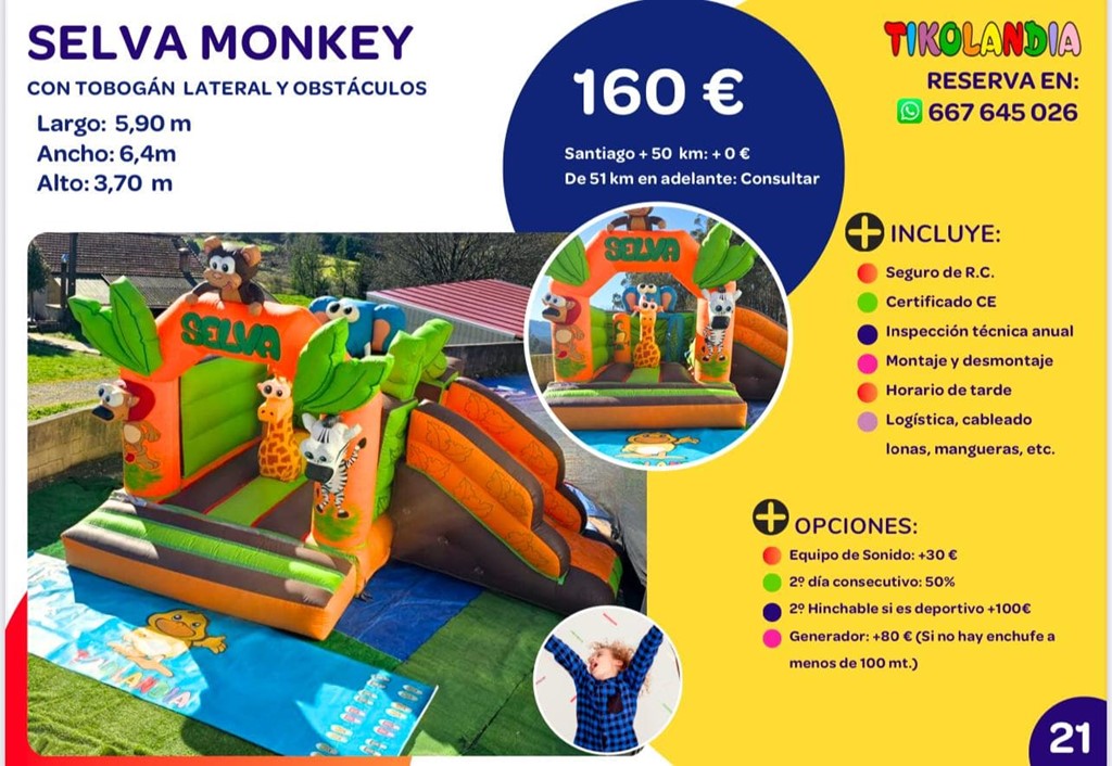 Foto 1 HINCHABLE SELVA