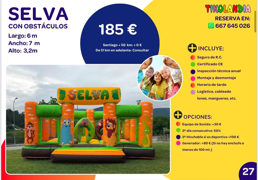 Foto 1 HINCHABLE SELVA