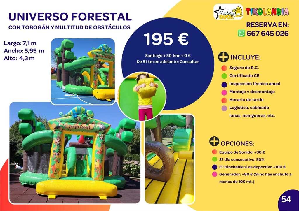 Foto 1 UNIVERSO FORESTAL